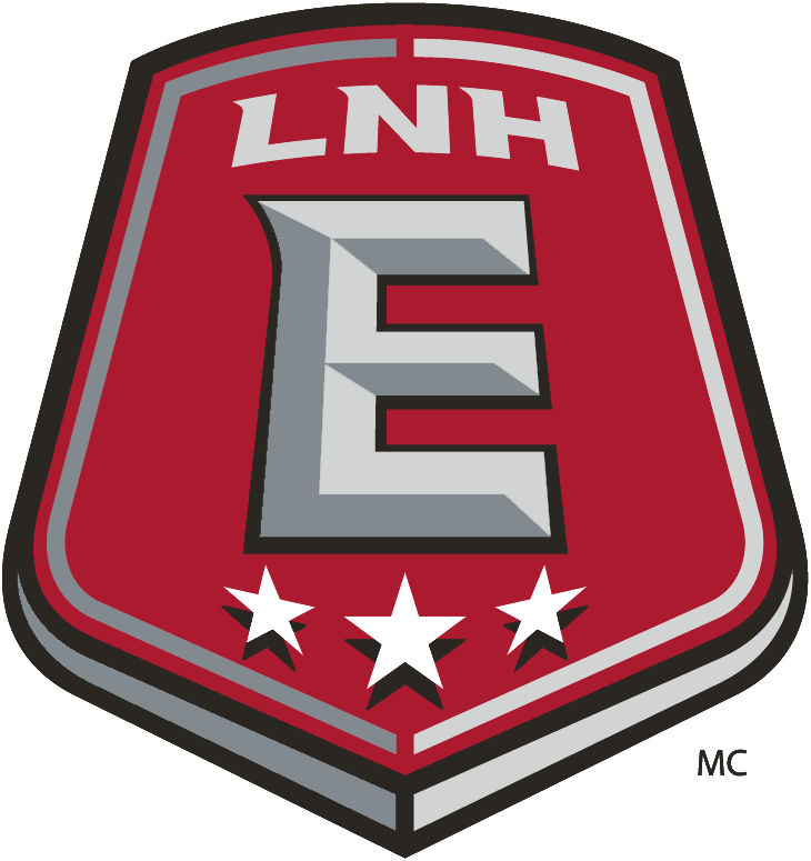 NHL Eastern Conference 2005-Pres Alternate Logo v2 DIY iron on transfer (heat transfer)